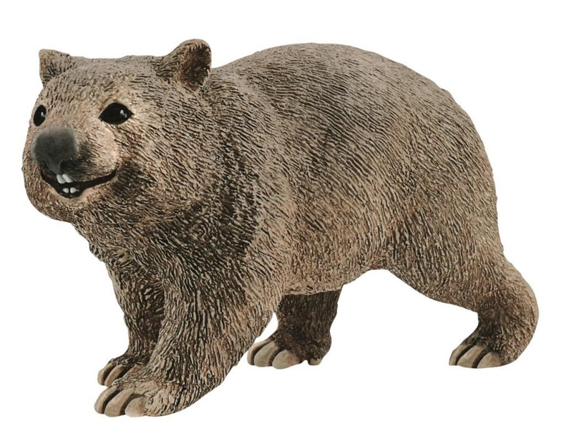 df6d6964044e37da2aa60-wombat.jpg