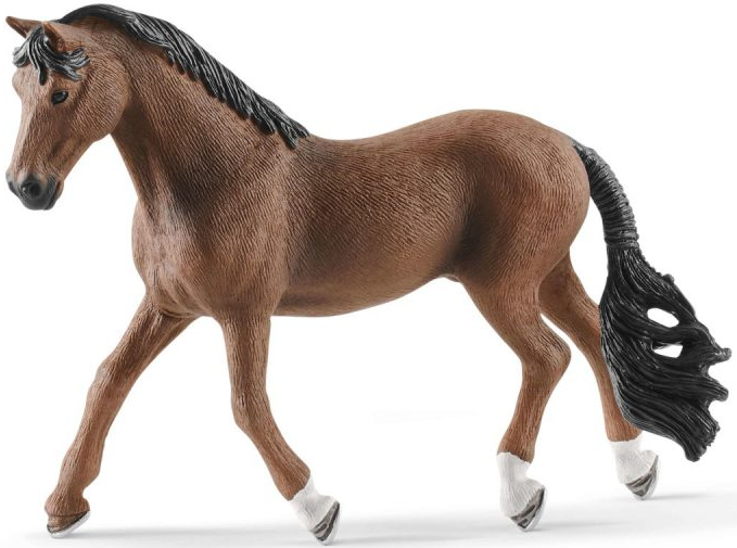 2d-horse-club-rasa-trakehner.jpg