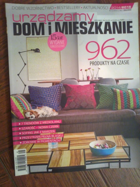 URZĄDZAMY DOM I MIESZKANIE,MURATOR