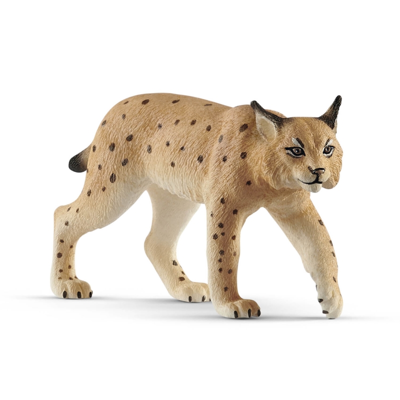 f2923af45f2f1f-wild-life-rys.jpg