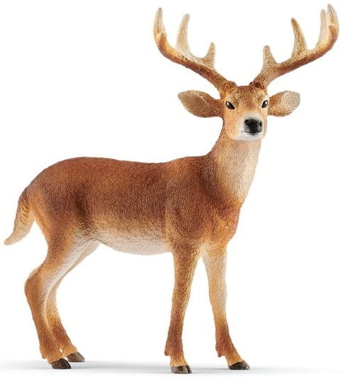 521129ae3c6d-wild-life-mulak.jpg