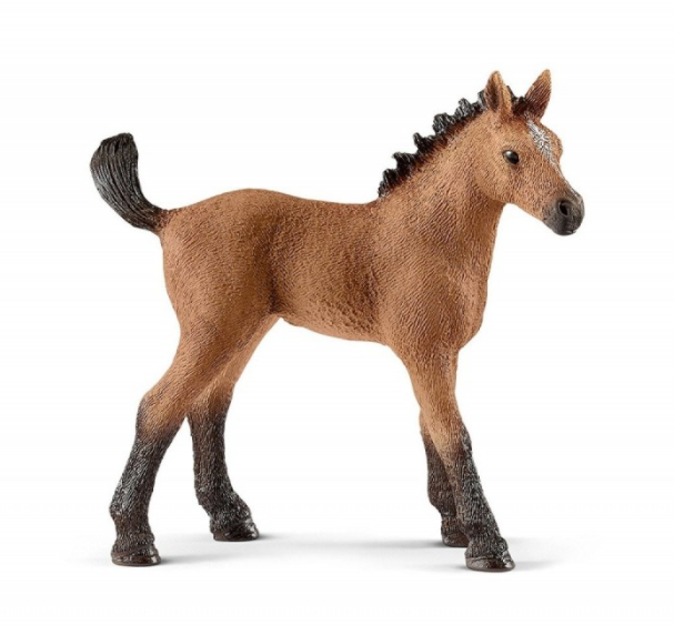 637-schleich-world-of-horses.jpg