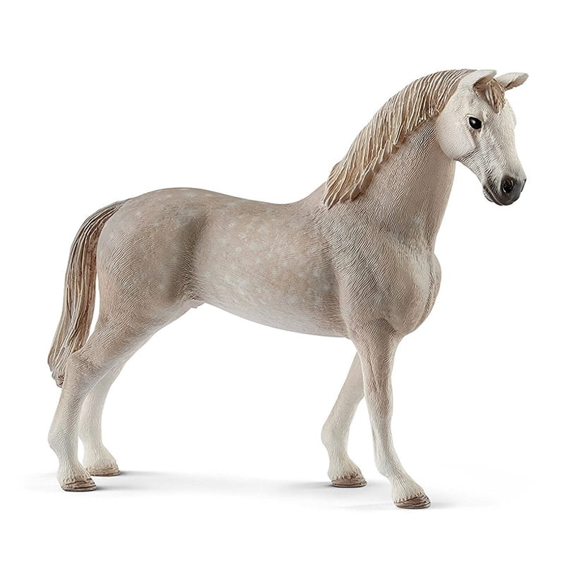 45-horse-club-walach-rasy-ho.jpg
