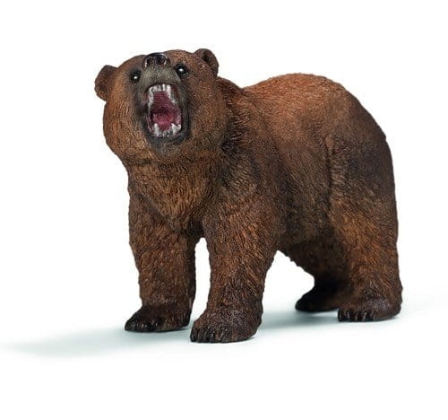 778df5ce8-niedzwiedz-grizzly.jpg