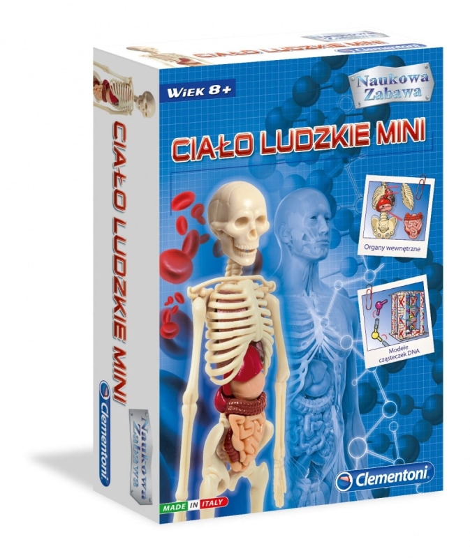 468157654-cialo-ludzkie-mini.jpg