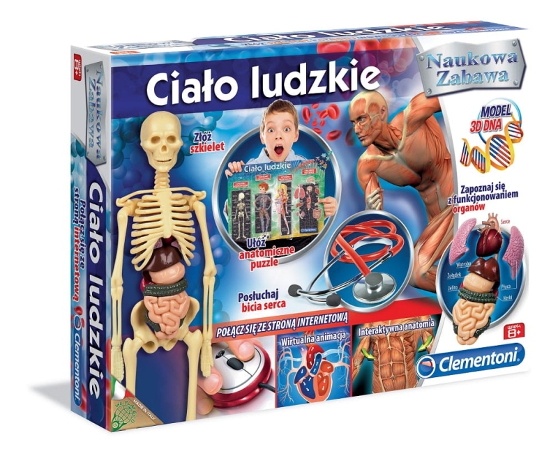 a82f506adbe5ed-cialo-ludzkie.jpg