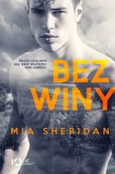 e588e8b70cd1f4aff80-bez-winy.jpg