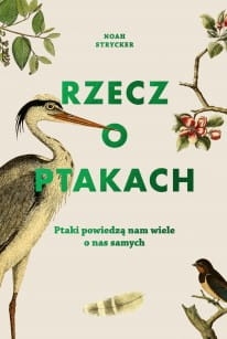 RZECZ O PTAKACH PTAKI NOAH STRYCKER 