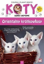 KOTY DZIKIE I DOMOWE ORIENTALNY KRÓTKOWŁOSY 4 FIGURKA 