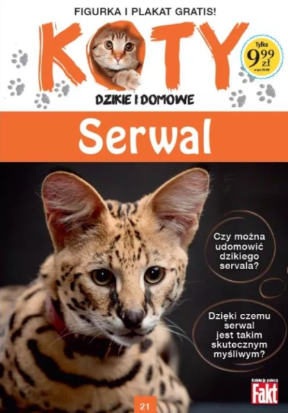 KOTY DZIKIE I DOMOWE SERWAL FIGURKA 21