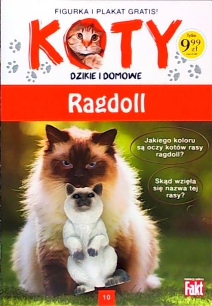 KOTY DZIKIE I DOMOWE KOLEKCJA 10 RAGDOL FIGURKA KOTKI