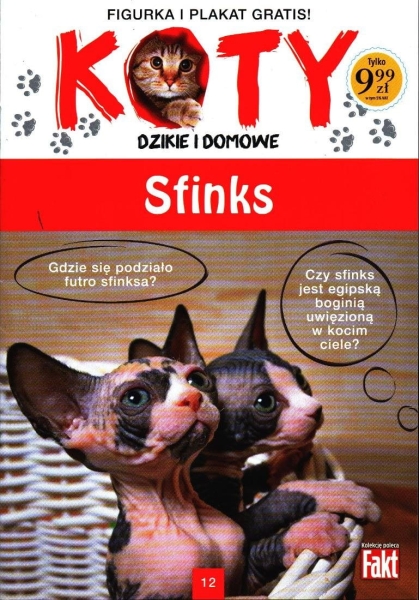 KOTY DZIKIE I DOMOWE KOLEKCJA 12 SFINKS FIGURKA KOTKI