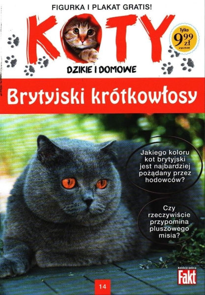 KOTY DZIKIE I DOMOWE BRYTYJSKI KRÓTKOWŁOSY FIGURKA 14
