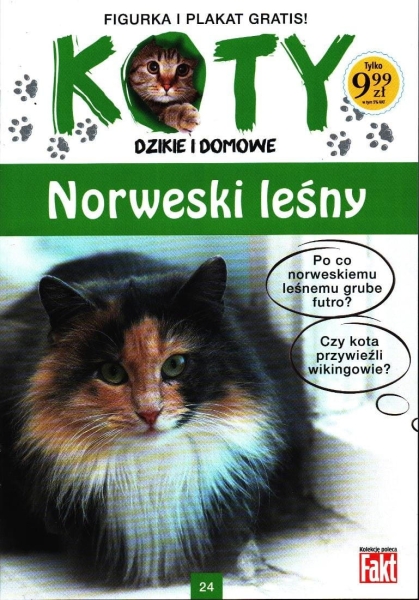 KOTY DZIKIE I DOMOWE NORWESKI LEŚNY FIGURKA 24