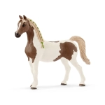 HORSE CLUB KLACZ RASY PINTABIAN