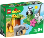 LEGO DUPLO MAŁE ZWIERZĄTKA 10904