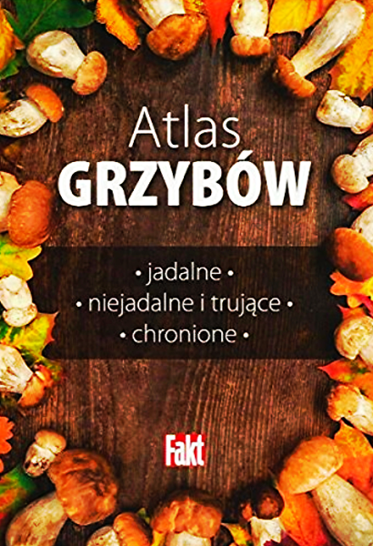 ATLAS GRZYBÓW GRZYBY GATUNKI BOROWIKI RYDZE