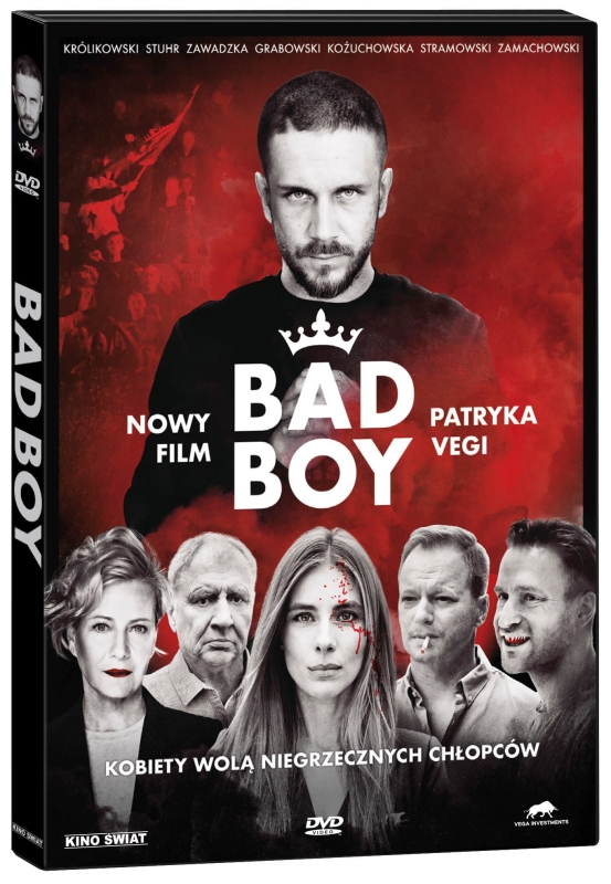 42a257c0fad472ce-bad-boy-dvd.jpg