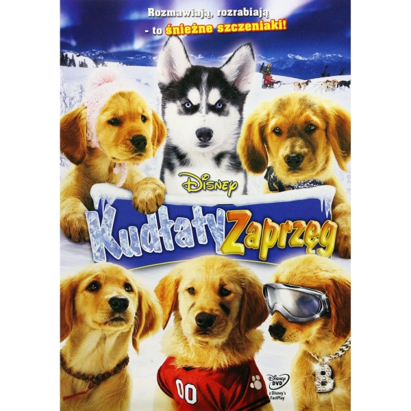KUDŁATE PSIAKI KUDŁATY ZAPRZĘG DISNEY DVD GOLDBERG