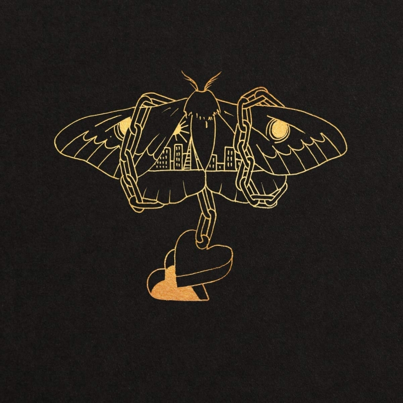34-gold-in-a-brass-age-lp-wi.jpg