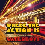  WHERE THE ACTION IS   WATERBOYS THE LP WINYL