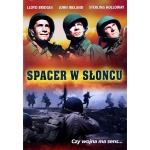 SPACER W SŁOŃCU DVD BRIDGES IRELAND 