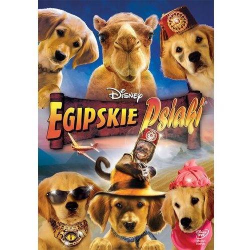 egipskie-psiaki-dvd-robert-vince.jpg