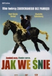 JAK WE ŚNIE DVD BERNAL GAINSBOURG CHABAT