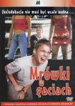 MRÓWKI W GACIACH DVD STEIN TANDER SCHENKE 