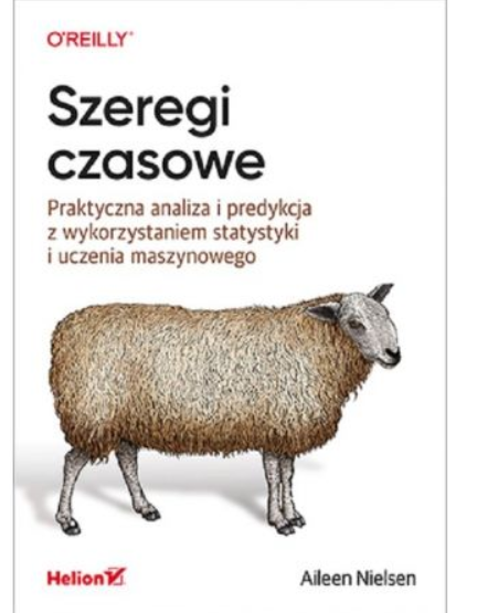 SZEREGI CZASOWE AILEEN NIELSEN 