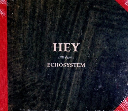   HEY ECHOSYSTEM WERSJA STAND CD