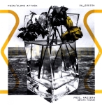 PEJA SLUMS ATTACK 25 GODZIN PROD MAGIERA WHITE HOUSE CD