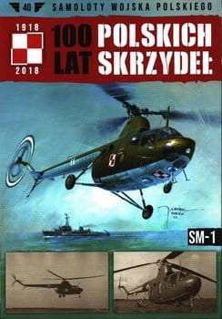 100 LAT POLSKICH SKRZYDEŁ SAMOLOTY WOJSKA POLSKIEGO 40