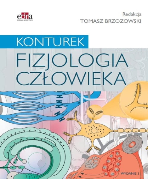 KONTUREK FIZJOLOGIA CZŁOWIEKA   PRACA ZBIOROWA