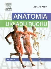 ANATOMIA UKŁADU RUCHU Z IGNASIK STR 194