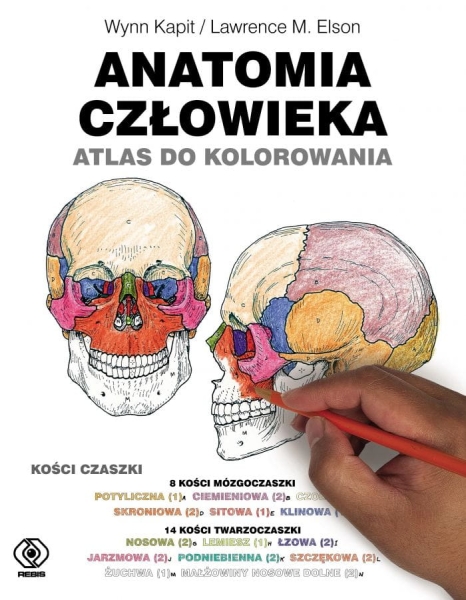 ANATOMIA CZŁOWIEKA ATLAS DO KOLOROWANIA KAPIT 