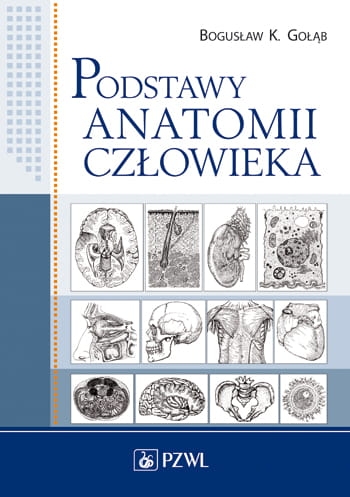 PODSTAWY ANATOMII CZŁOWIEKA GOŁĄB BOGUSŁAW K