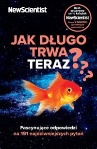 JAK DŁUGO TRWA TERAZ PRACA ZBIOROWA 