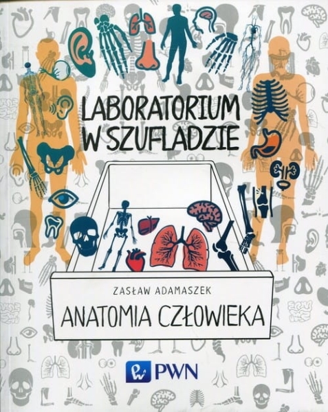 LABORATORIUM W SZUFLADZIE ANATOMIA ADAMASZEK 