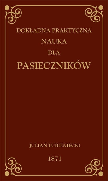 6b-dokladna-praktyczna-nauka.jpg