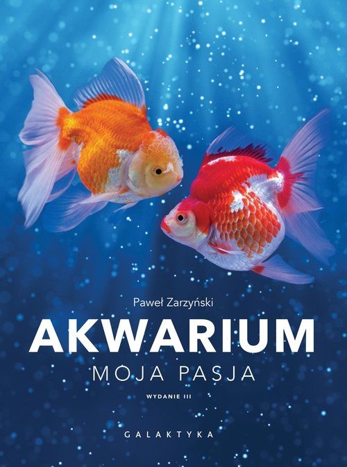 4c79a1c2-akwarium-moja-pasja.jpg