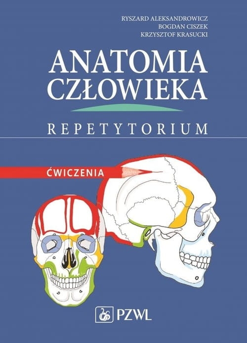 b9-anatomia-czlowieka-repety.jpg