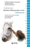   ZABIEGI LEKARSKO WETERYNARYJNE U KONI KERSTEN 