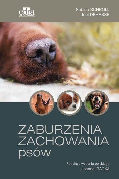 cd-zaburzenia-zachowania-pso.jpg