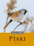 PTAKI FAUNA DOROTA ZAWADZKA  
