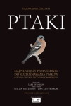 PRZEWODNIK COLLINSA PTAKI SVENSSON MULLARNEY  