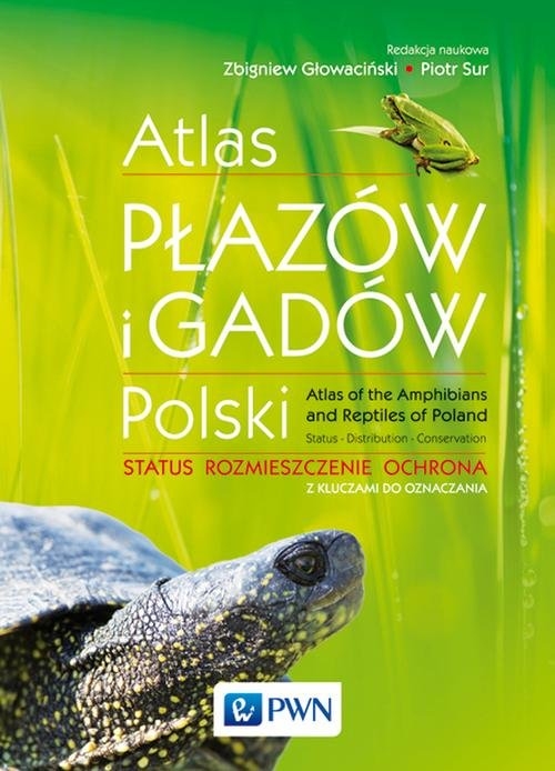 fc-atlas-plazow-i-gadow-pols.jpg