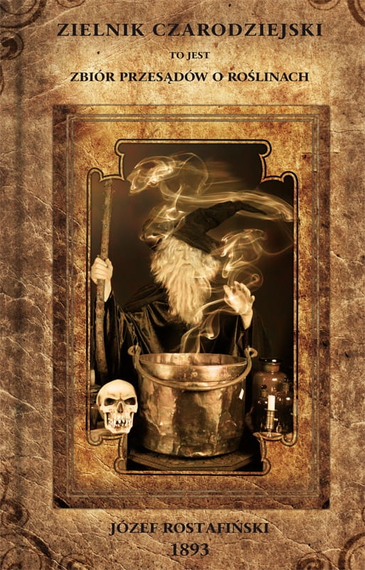 519-zielnik-czarodziejski-to.jpg