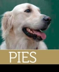 PIES WSZYSTKO O PIELĘGNACJI ZDROWIU ŻYWIENIU