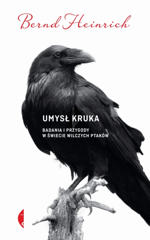 dd-umysl-kruka-badania-i-prz.jpg